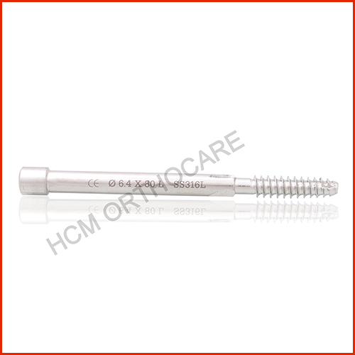 6.4-mm-pfn-leg-screw