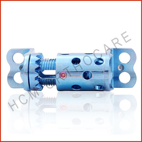 Spine Expandable Cage